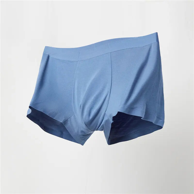 Trunks — view 8