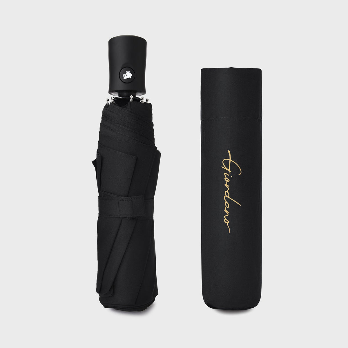 Umbrella — view 5